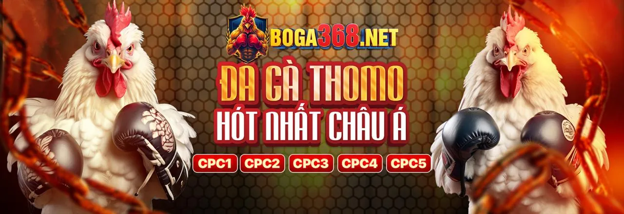 Sân đá gà trực tuyến JUN88